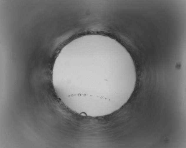 X0000110721207200907022038