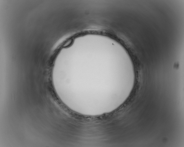 X0000110721208200907022038