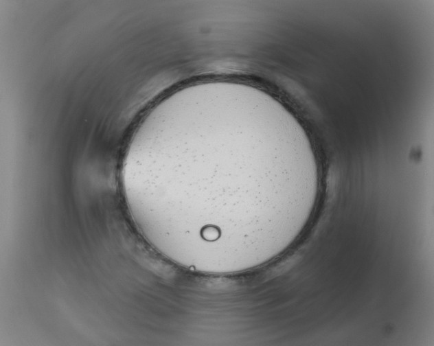 X0000110721209200907022038