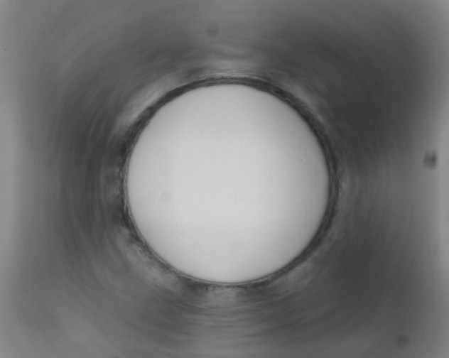 X0000110721211200907022038