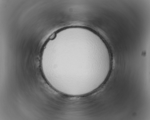 X0000110721212200907022038