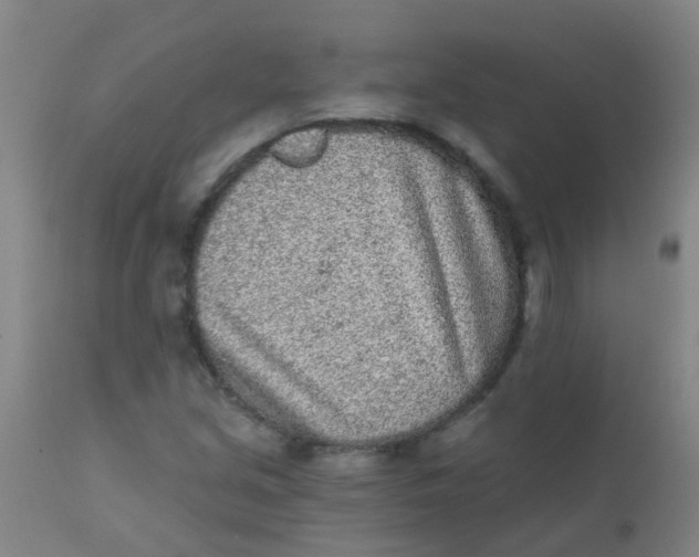 X0000110721213200907022038