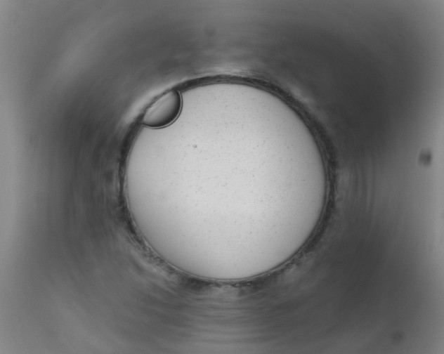 X0000110721214200907022038