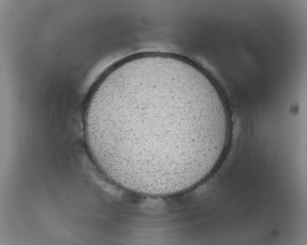 X0000110721215200907022038