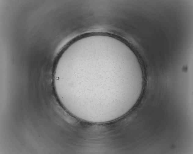 X0000110721216200907022038