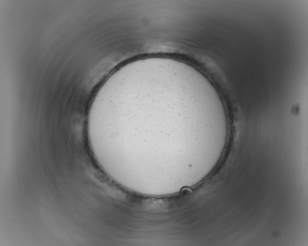 X0000110721217200907022038