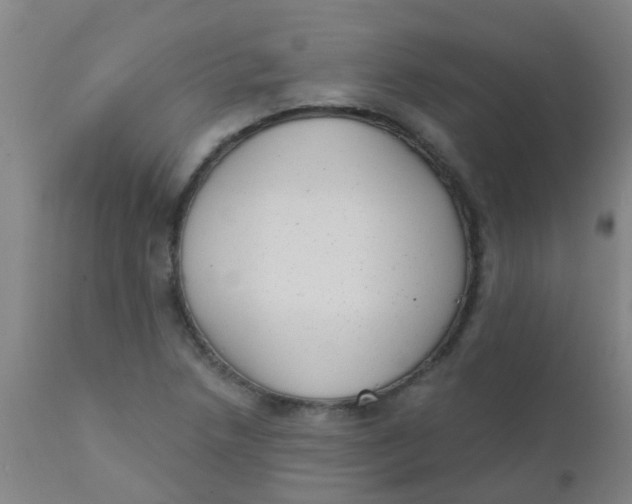 X0000110721218200907022038