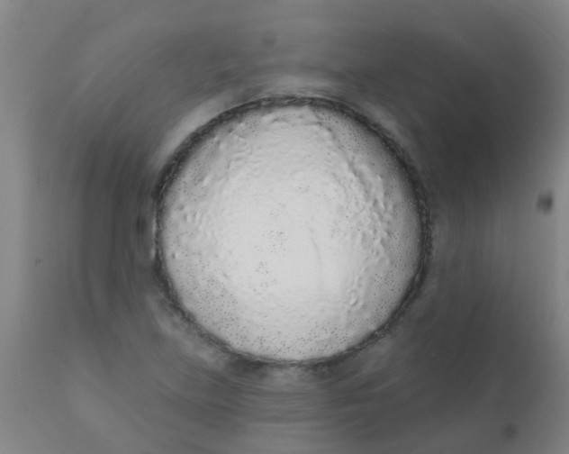 X0000110721219200907022038