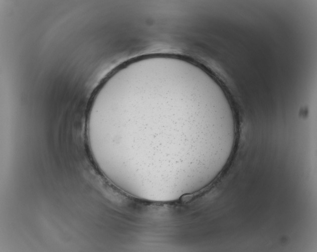 X0000110721220200907022038