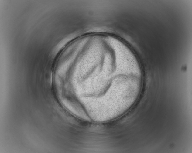 X0000110721221200907022038