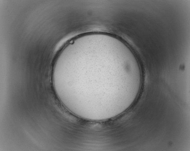 X0000110721222200907022038