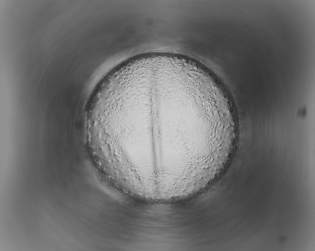 X0000110721223200907022038