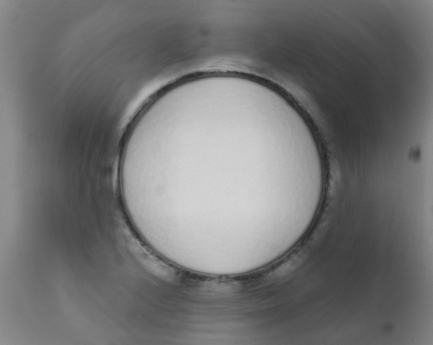 X0000110721224200907022038