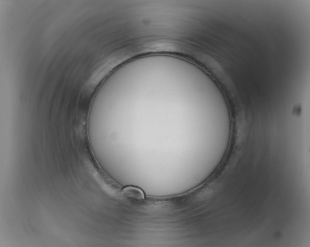 X0000110721225200907022038