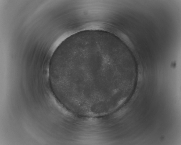 X0000110721226200907022038