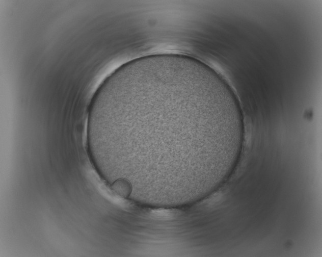 X0000110721227200907022038