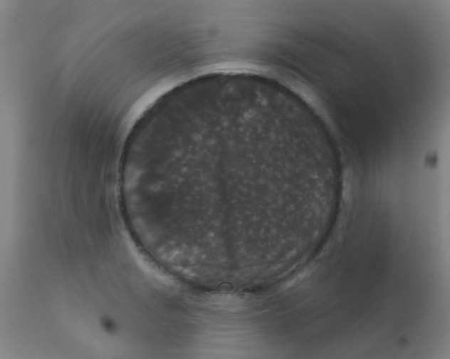 X0000110721229200907022038