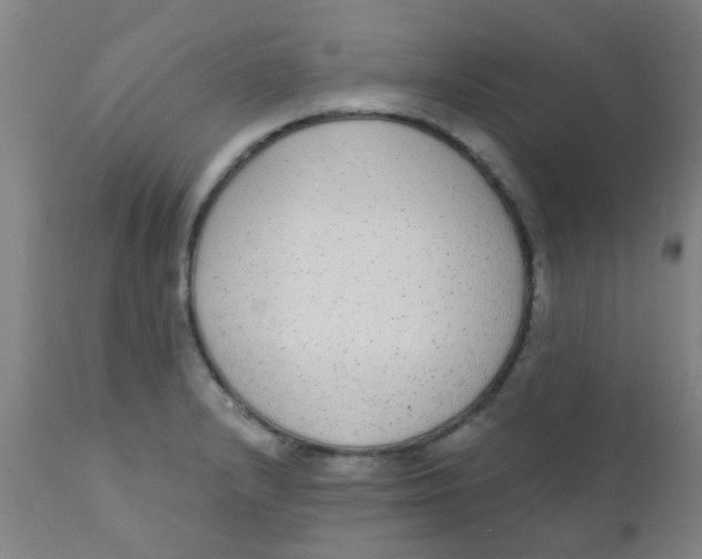 X0000110721232200907022038