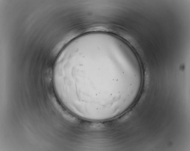 X0000110721233200907022038