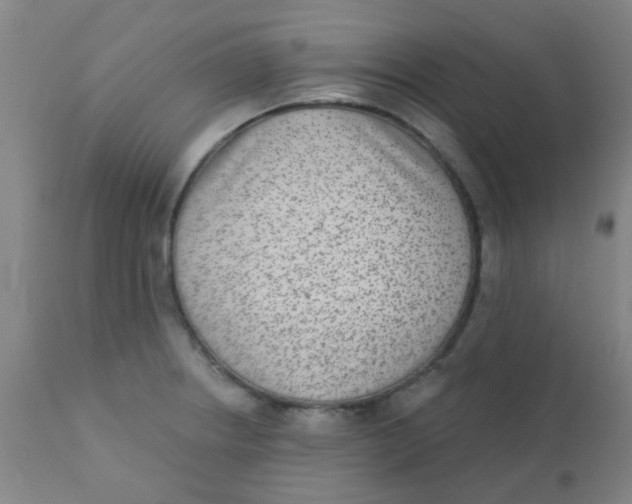 X0000110721234200907022038