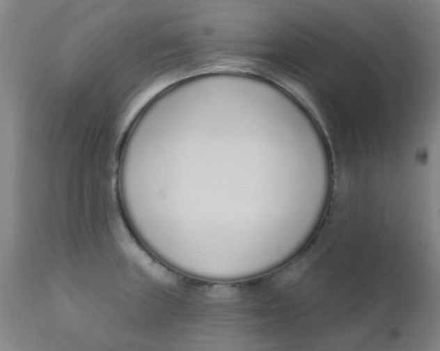 X0000110721235200907022038