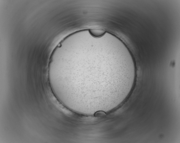 X0000110721236200907022038