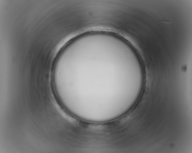 X0000110721237200907022038