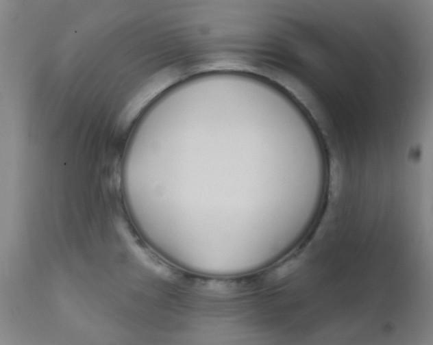 X0000110721241200907022038