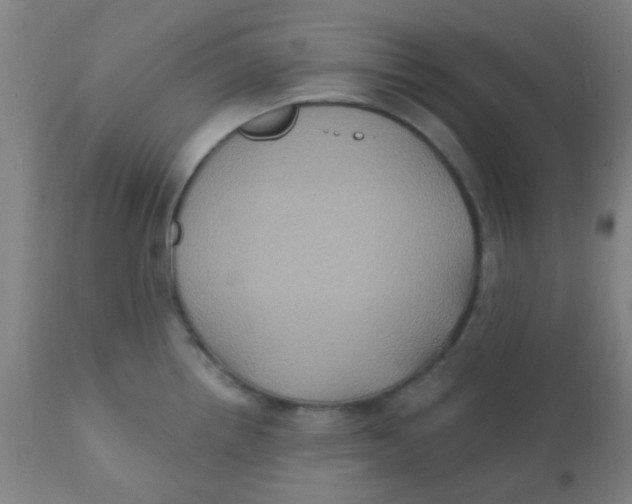 X0000110721242200907022038