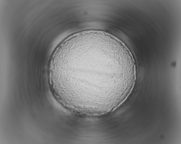 X0000110721243200907022038