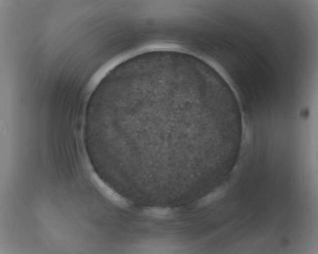 X0000110721245200907022038