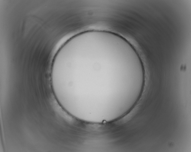 X0000110721248200907022039