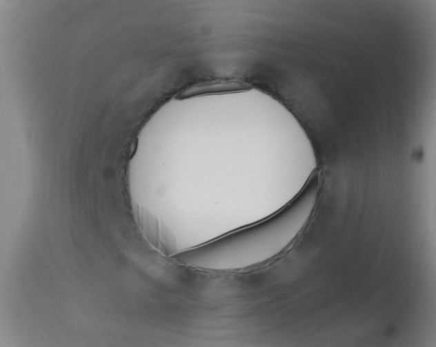 X0000110721249200907022038