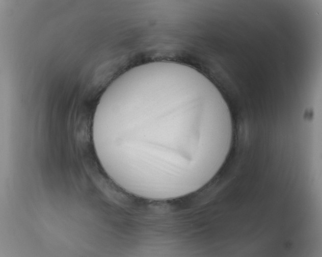 X0000110721250200907022038