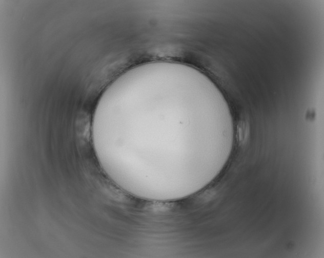 X0000110721251200907022038