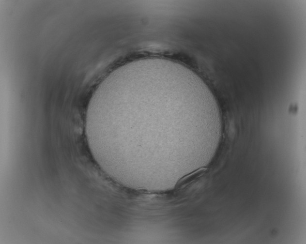 X0000110721253200907022038