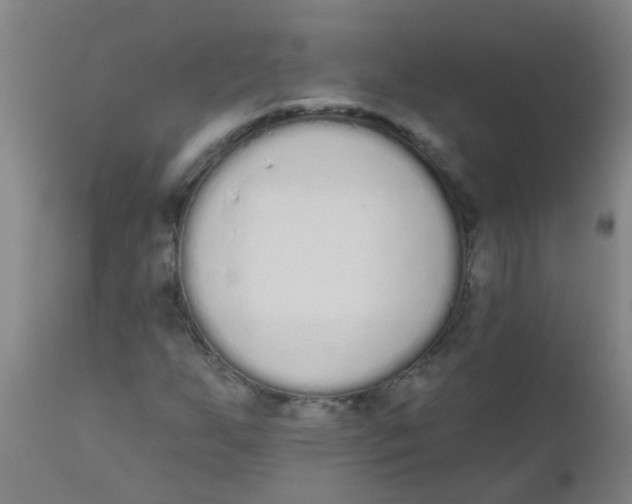 X0000110721255200907022038