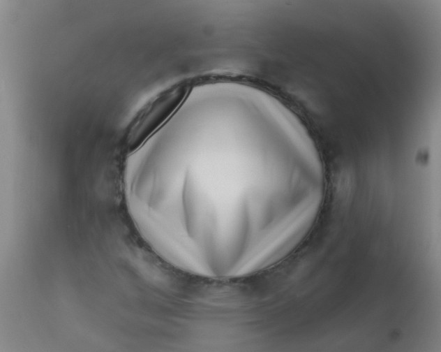 X0000110721256200907022038