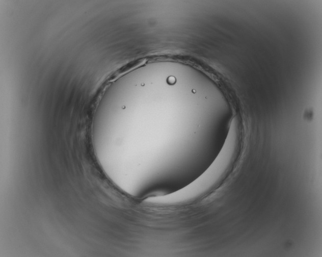 X0000110721257200907022038