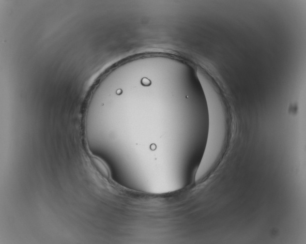 X0000110721260200907022038