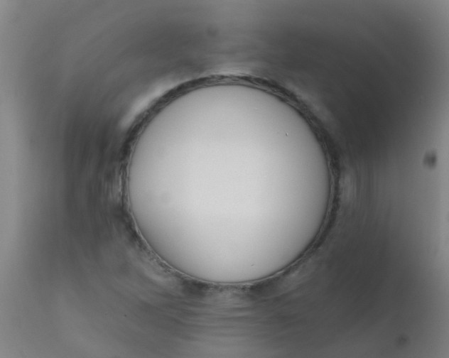 X0000110721262200907022038