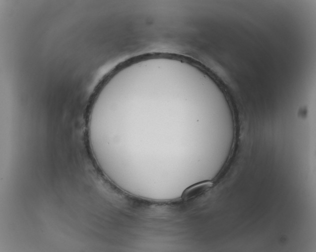 X0000110721264200907022038