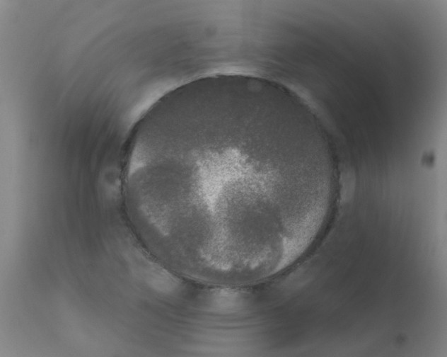 X0000110721266200907022038