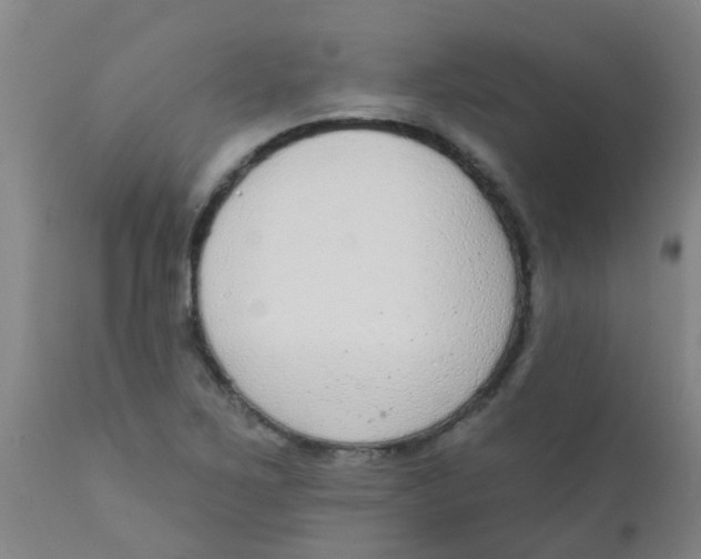 X0000110721267200907022038