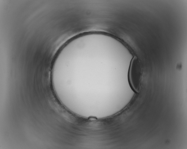 X0000110721268200907022038