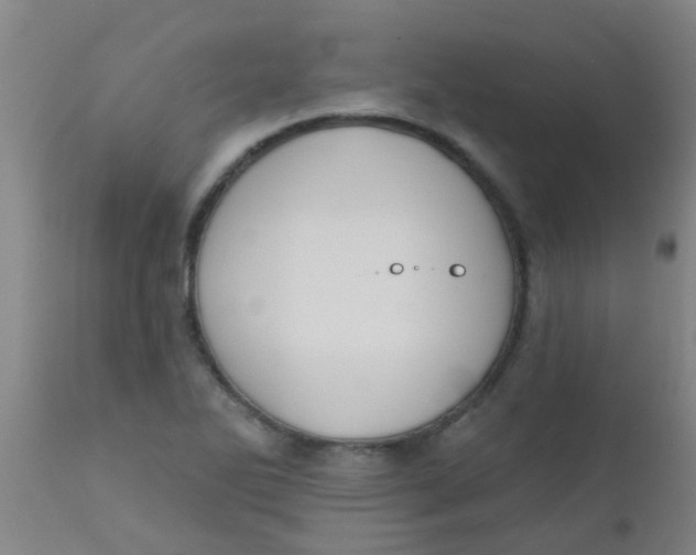 X0000110721270200907022038