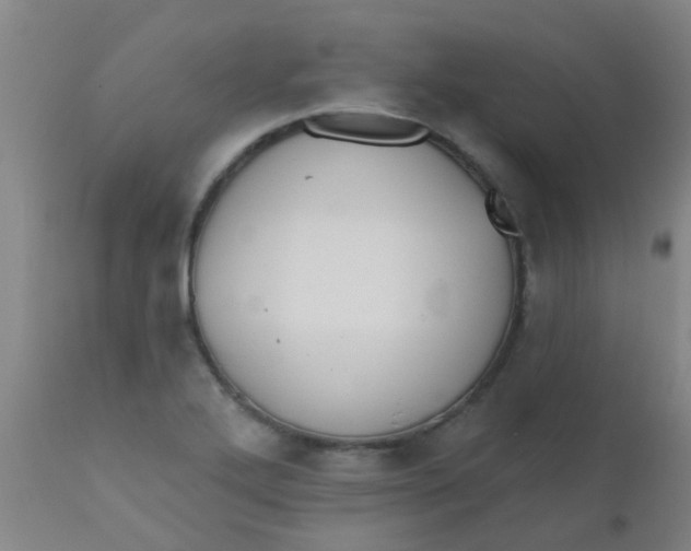 X0000110721272200907022038