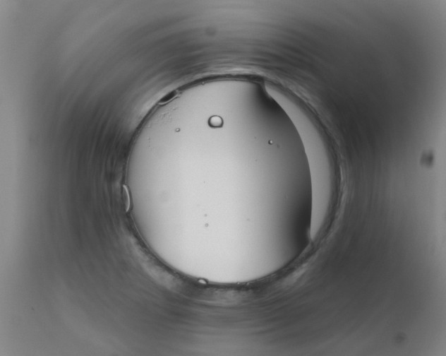 X0000110721273200907022038