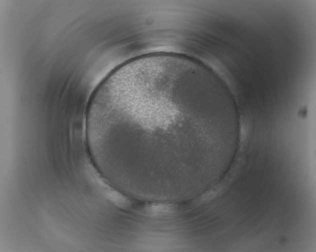 X0000110721274200907022038