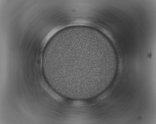 X0000110721275200907022037